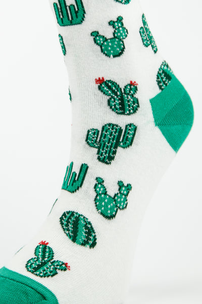 close photoshoot of cactus sock