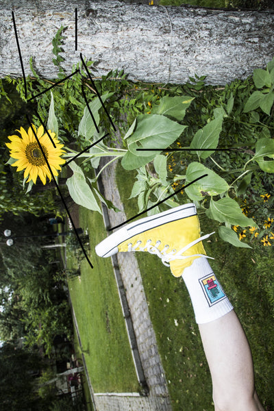 Cactus Socks - White