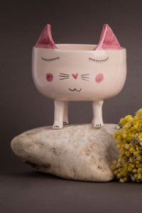 pot with a smiling cat figure. cat's ears are in pink colour.