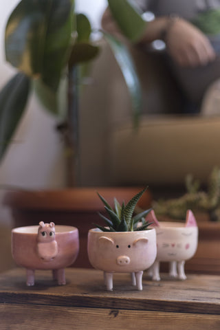 pink coloured happy faced hippopotamus and cat and pig  figured pots