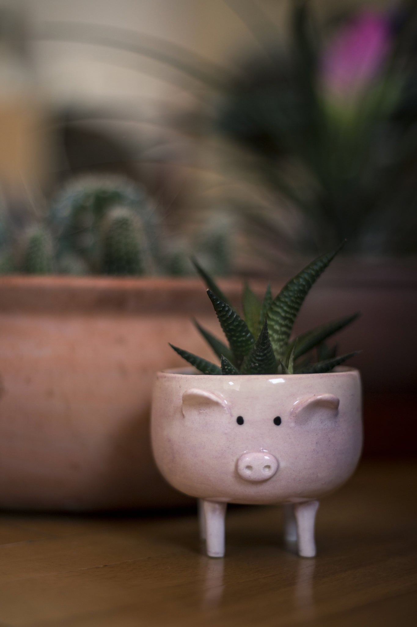 pig figured pot in pink colour with plant in it 