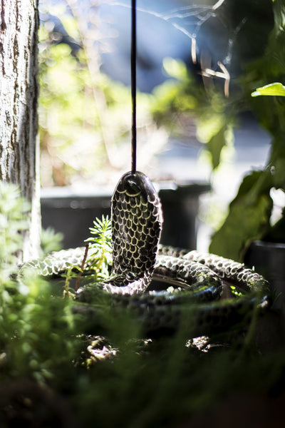 snake shaped incense burner with plate under it in black colour in nature