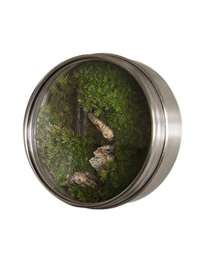 terrarium magnet with stones in it. terrarium placed in circle shaped metal magnet jar and glass lid