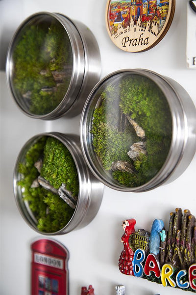 terrarium magnet with stones in it. terrarium placed in circle shaped metal magnet jar and glass lid group on fridge