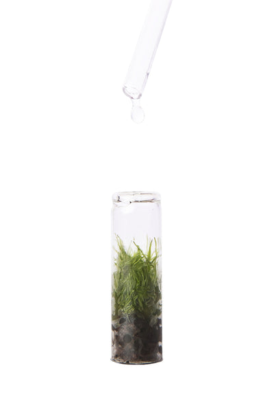 watering a terrarium necklace. there is a glass vial with a cork, and there is plant in the glass.