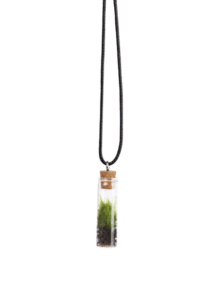 terrarium necklace. there is a glass vial with a cork, and there is plant in the glass with rope chain