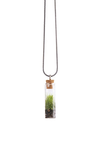 terrarium necklace. there is a glass vial with a cork, and there is plant in the glass, with silver chain