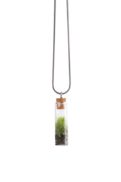 terrarium necklace. there is a glass vial with a cork, and there is plant in the glass, with silver chain